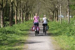 Two women cycling in a beautiful woodland setting.
